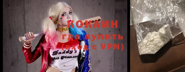 прущие грибы Заводоуковск