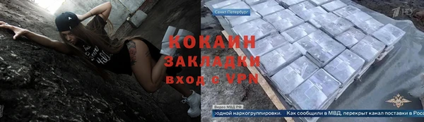 прущие грибы Заводоуковск