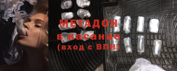 прущие грибы Заводоуковск