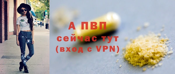 прущие грибы Заводоуковск