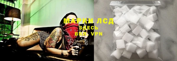 прущие грибы Заводоуковск