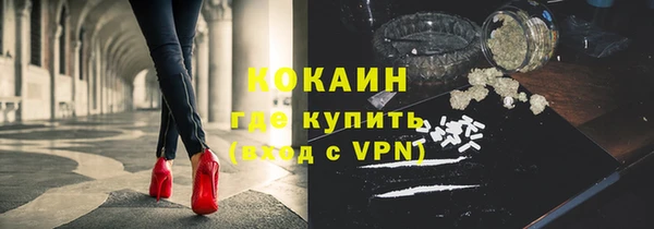 прущие грибы Заводоуковск