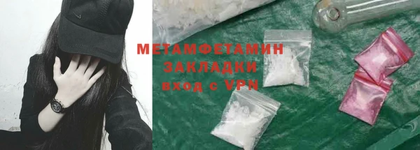 прущие грибы Заводоуковск