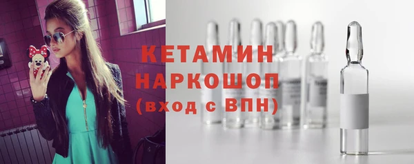 прущие грибы Заводоуковск