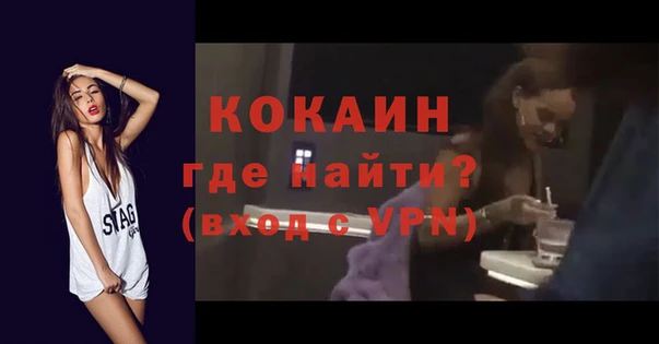 прущие грибы Заводоуковск