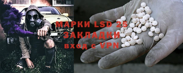 прущие грибы Заводоуковск