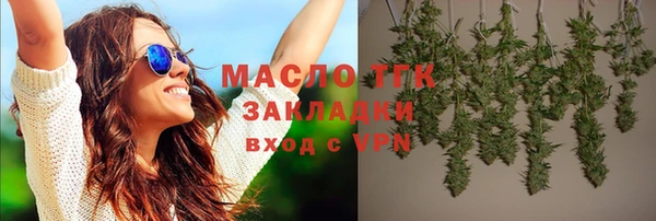прущие грибы Заводоуковск