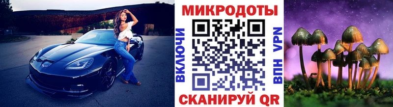 Галлюциногенные грибы Psilocybine cubensis  Долгопрудный 