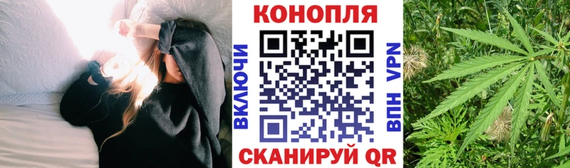 продажа наркотиков  Долгопрудный  блэк спрут сайт  Конопля конопля 